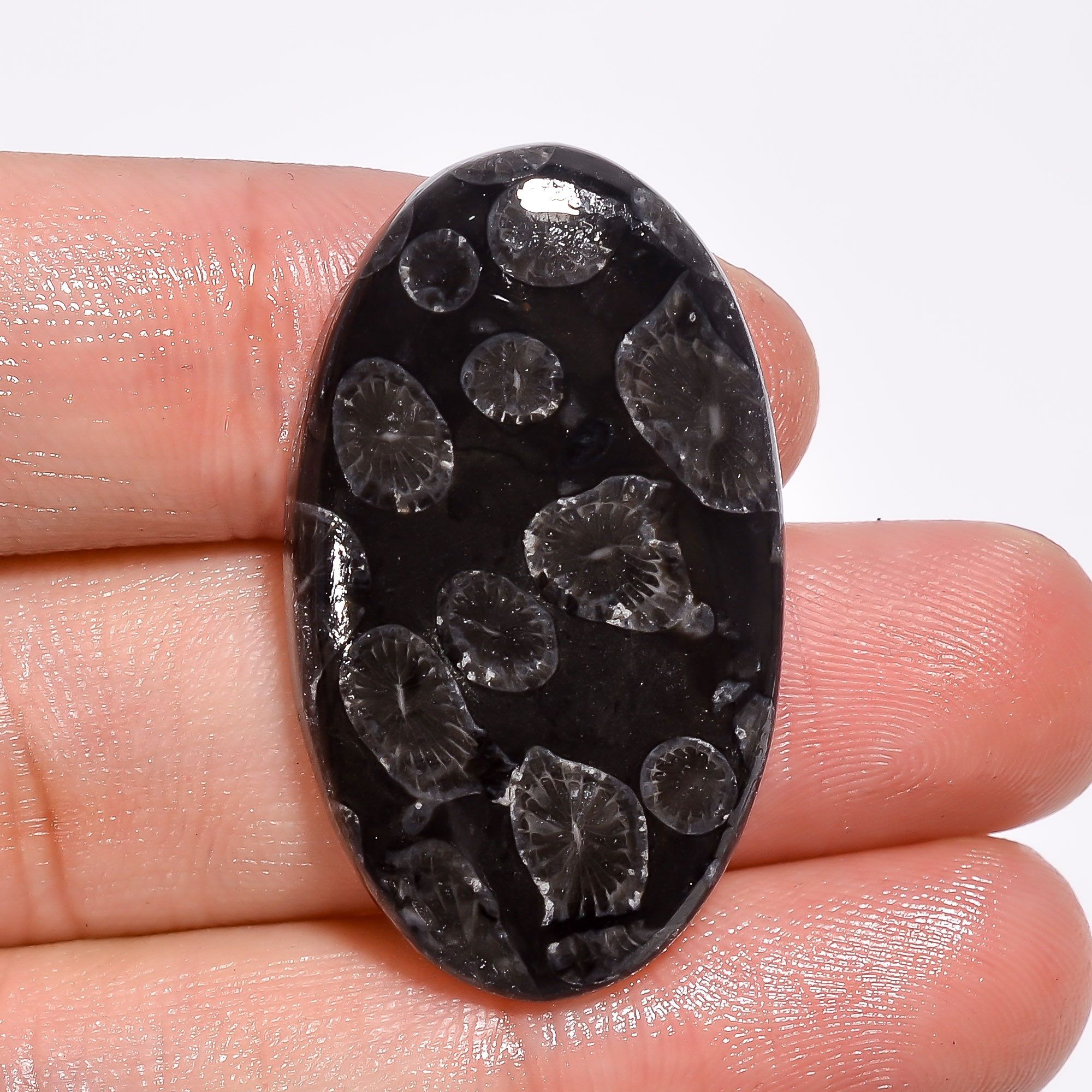 33X20X5 MM Oval Shape Black Fossil Coral Cabochon 35ct Handmade Loose Gemstone For Jewelry Making Semi Precious Stone Wholesale Price R5499