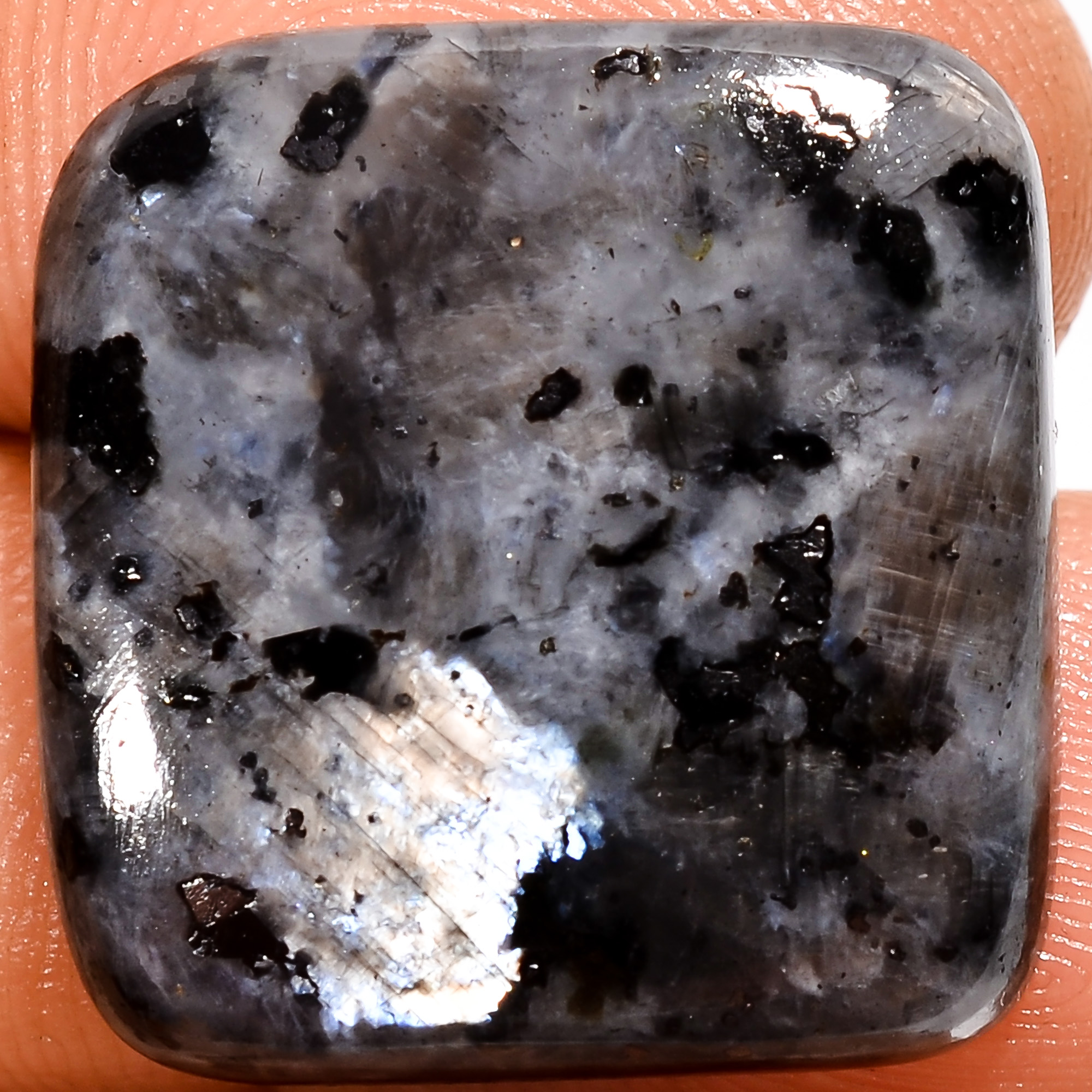 Natural Larvikite Cushion Shape Cabochon Loose Gemstone 20.5 Ct